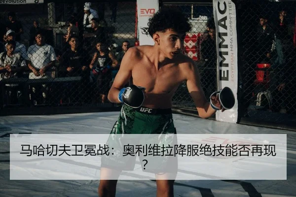 ma-ha-qie-fu-wei-mian-zhan-ao-li-wei-la-xiang-fu-jue-ji-neng-fou-zai-xian-3-130.jpg