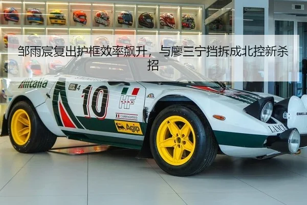 zou-yu-chen-fu-chu-hu-kuang-xiao-lv-biao-sheng-yu-liao-san-ning-dang-chai-cheng-bei-kong-xin-sha-zhao-3-486.jpg