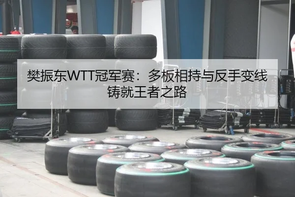 fan-zhen-dong-guan-jun-sai-duo-ban-xiang-chi-yu-fan-shou-bian-xian-zhu-jiu-wang-zhe-zhi-lu-2-809.jpg