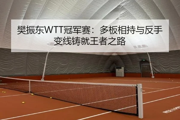 樊振东WTT冠军赛：多板相持与反手变线铸就王者之路