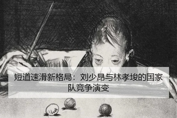 duan-dao-su-hua-xin-ge-ju-liu-shao-ang-yu-lin-xiao-jun-de-guo-jia-dui-jing-zheng-yan-bian-2-352.jpg