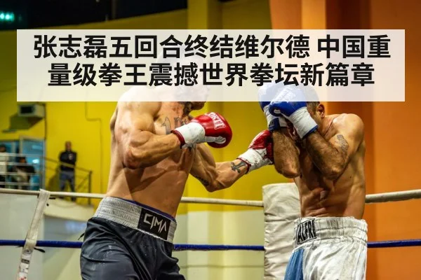 张志磊五回合终结维尔德 中国重量级拳王震撼世界拳坛新篇章